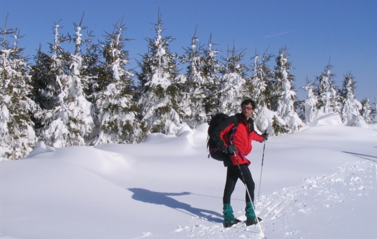 Hiking sheltered by conifer hedges