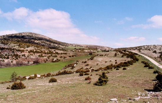 Causse Méjean