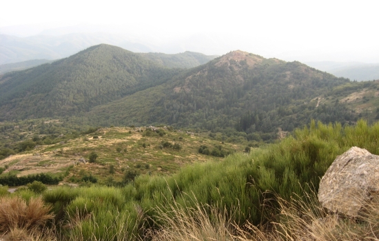 les cevennes méridionales