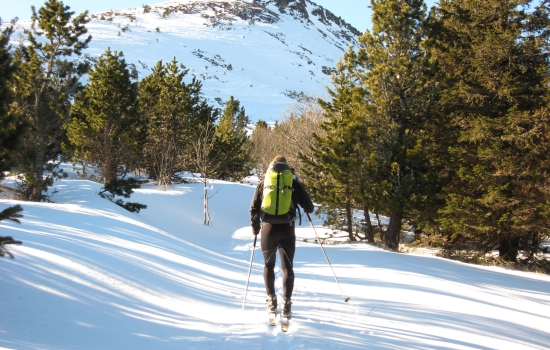 L'ascension du Mezenc, un incontournable avec la récompense d'un panorama portant sur les Alpes et les sommets du Massif Central