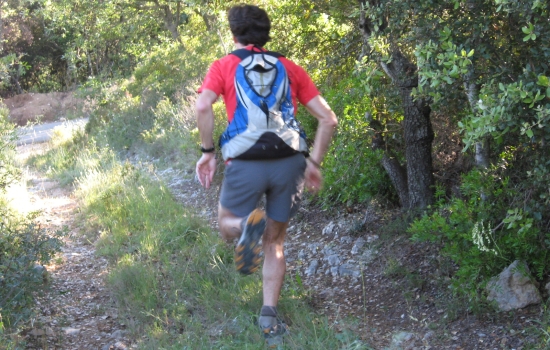 La garrigue, terrain de trail