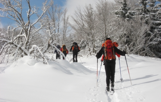 Plaisirs de la glisse