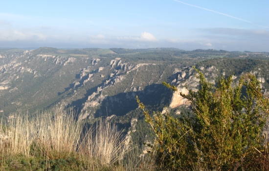 Gorges du Tarn