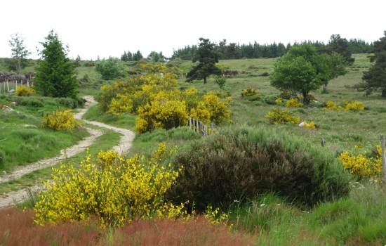 Margeride, wild land