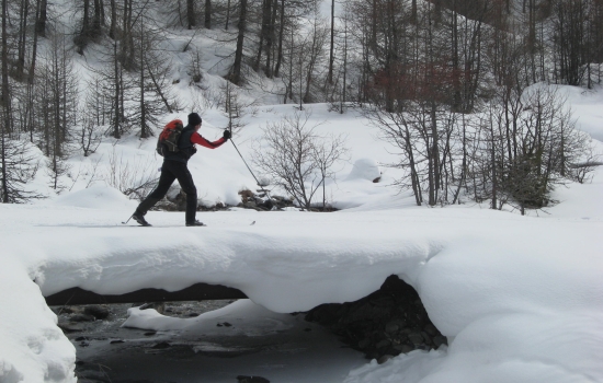 Blend into the snowy landscape