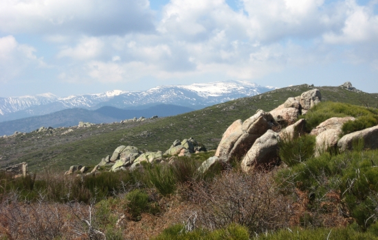 Between hights Corbières and Pyrénées