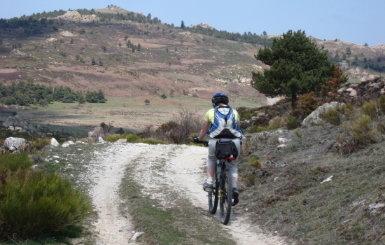 Not far from Pic del Rossello