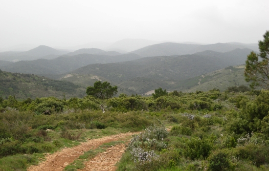 Paysage des Corbières