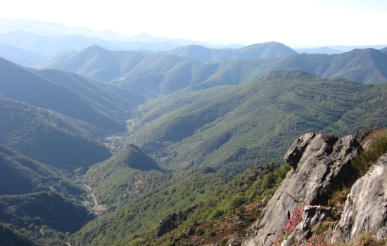 deep valleys of the Cévennes