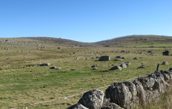 Aux abords du Lac de Born