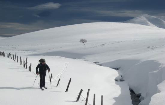 Towards the Guery plateau