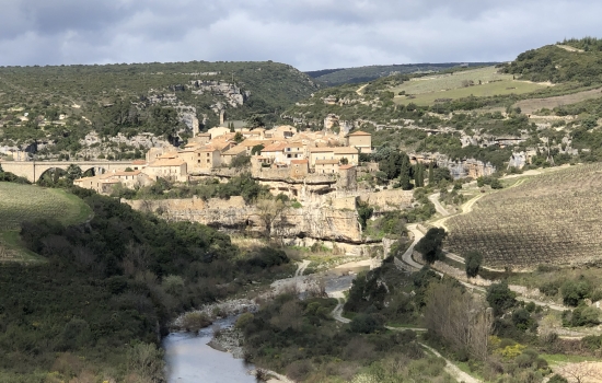Minerve