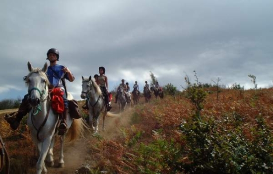Horse riding on the Causse plateau or in the Tarn gorges