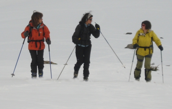 Plaisir du partage entre amis