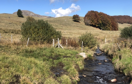 Little river Sancy massif