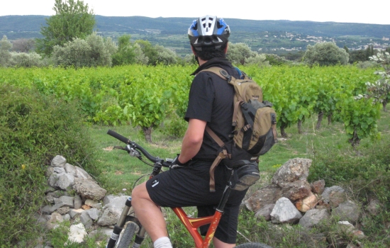 Parcours dans les vignes