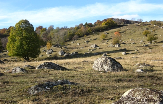 prairie et bloc de granit en sud Aubrac