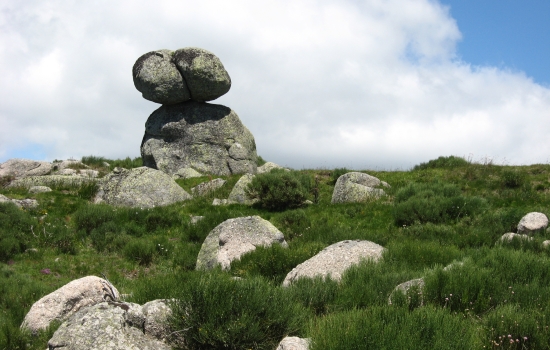 Blocs granit à la hauteur de Bellecoste