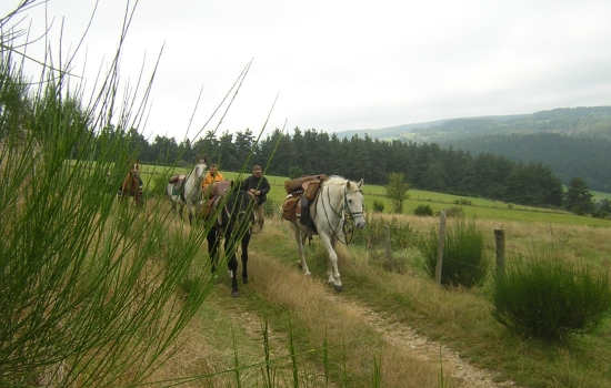la margeride à cheval