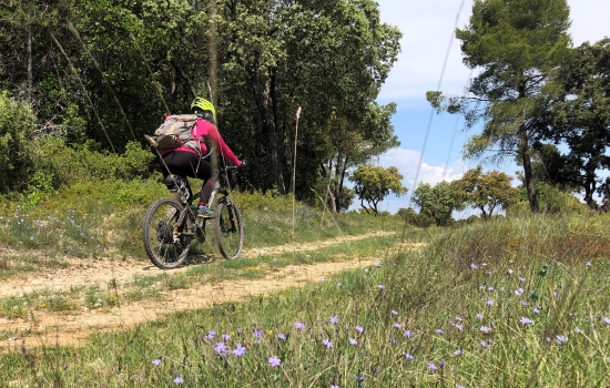 Mountain bike across the garrigue