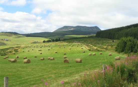 Mont Mézenc, sommet des lieux