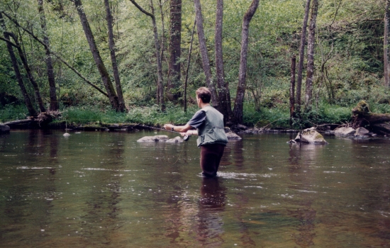 En quête de gobages