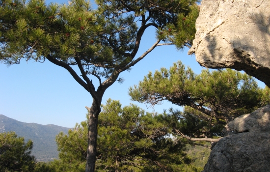 Passage dans les Monts de St Guilhem le Désert