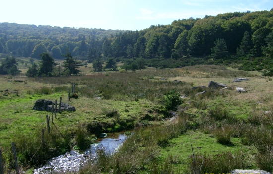 Zones humides de Margeride