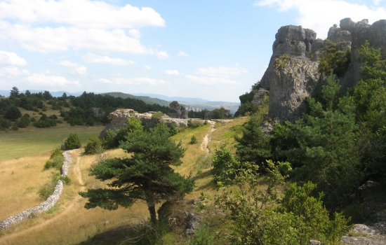 Passage de la randonnée sur le Causse Noir