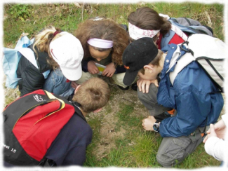 Emerveillement et découverte de la nature
