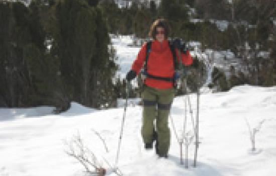snowshoe hiking guided in the mountain Off-track snowhsoeing trail