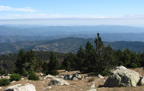 En contrebas de l'Aigoual Panorama jusqu'aux Alpes