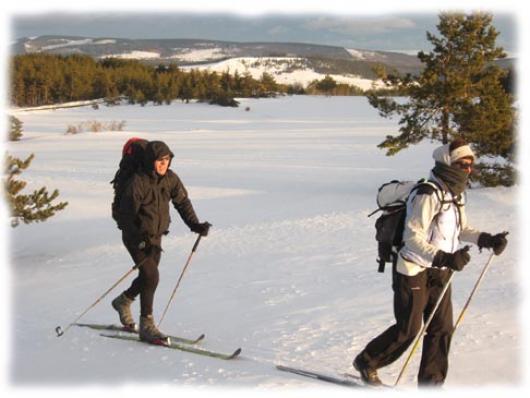 Raid nordique sur le Mont Lozere Courbes arrondies du Mont Lozere, chaos granitiques soupoudrés de neige, hameaux de Bellecoste et de Mas Camargues sont le cadre de votre randonnee ski nordique