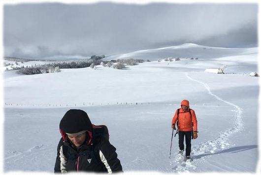 Immensité enneigée de l'Aubrac Raquettes à neige à travers les grandes étendues de l'Aubrac