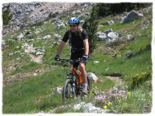 Trail through the scrubland in the Corbières region